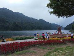 -广州市石门国家森林公园