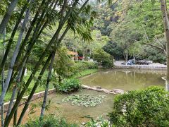 -火炉山森林公园