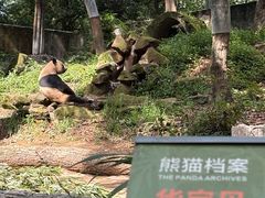 -中国大熊猫保护研究中心雅安碧峰峡基地