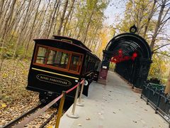 -合肥滨湖国家森林公园