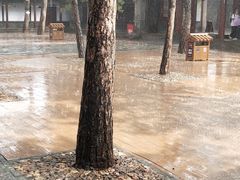 -塞罕坝国家级自然保护区