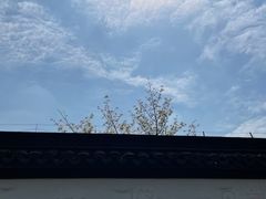 -上海方塔园