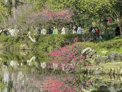 -杭州植物园