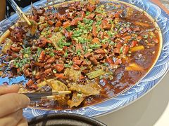 -新概念来凤鱼(璧山店)