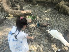-西双版纳傣族园
