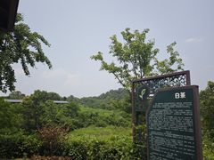 -南湾湖