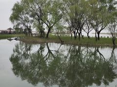 -苏州太湖湖滨国家湿地公园