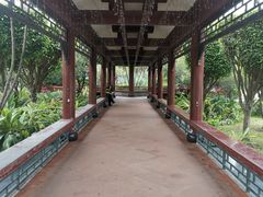 -顺峰山公园