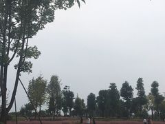 -眉山湿地公园(东坡区)