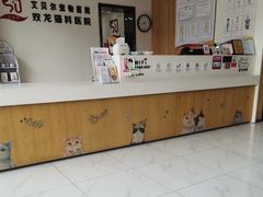 -艾贝尔宠物医院·24H转诊中心·肿瘤猫专科(江宁双龙店)