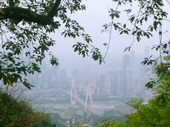 -南山植物园