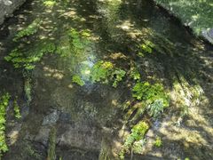 -水磨沟公园