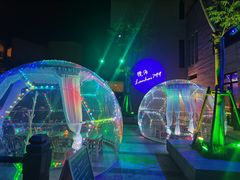 -上海崇明金茂凯悦酒店