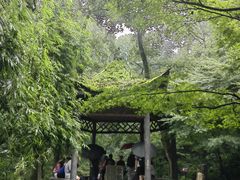 -岳麓山风景名胜区