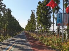 -上海长兴岛郊野公园