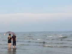 -江山半岛白浪滩景区