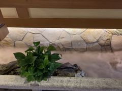 -首秀·四川料理(星耀101店)