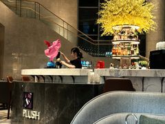 -Plush大堂酒廊(北京金融街威斯汀大酒店)