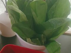 -番食园鲜食火锅(高新店)