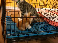 -上海昆虫博物馆