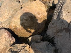 -丁香湖公园