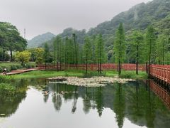 -广州市石门国家森林公园