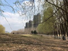 -长白岛森林公园