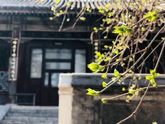 -武林峰餐厅(龙湖星悦荟店)