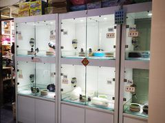 -宝鸡东道花鸟鱼虫市场(吉利花园商场店)