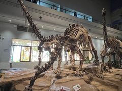 -自贡恐龙博物馆