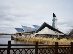-盐城丹顶鹤湿地生态旅游区