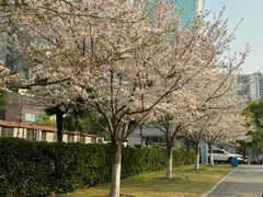 -西北湖绿化广场