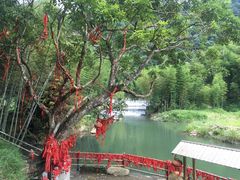 -千泷沟大瀑布旅游区