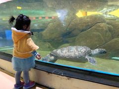 -福州罗源湾海洋世界旅游区