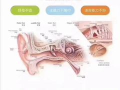 -金色雨林感统训练·专注力·语言认知·心理沙盘(天通苑校区)