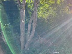 -九曲溪竹筏码头