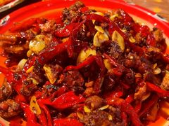 -柴窝堡22号辣子鸡·传承新疆菜