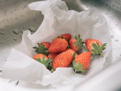 -尚田草莓姑娘白草莓采摘基地