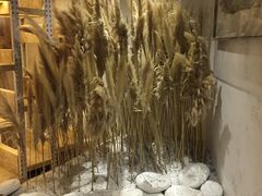 -三亚湾红树林度假世界(木棉酒店)