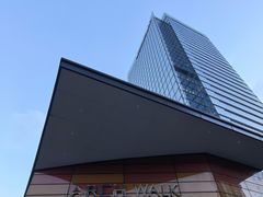 -金虹桥商场