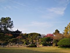 -西湖外事游船(花港观鱼码头)