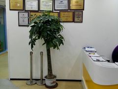 -瑞思英语·少儿英语启蒙(和平·国际商场示范校区)