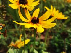 -杭州城北体育公园