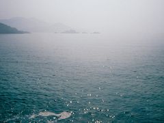 -枸杞岛