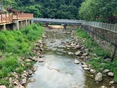 -广州白江湖森林公园