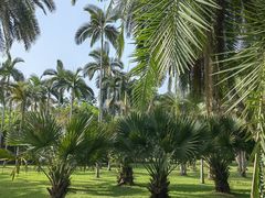 -中国科学院西双版纳热带植物园