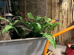 -阿徕孖·泰餐(大沙地店)