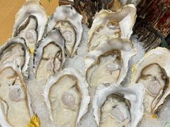 -Oyster Talks 四度蚝法餐厅