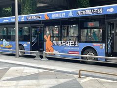 -帕帕拉兹宠物(亚洲旗舰店)