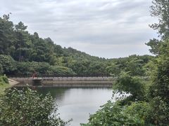-九龙潭景区